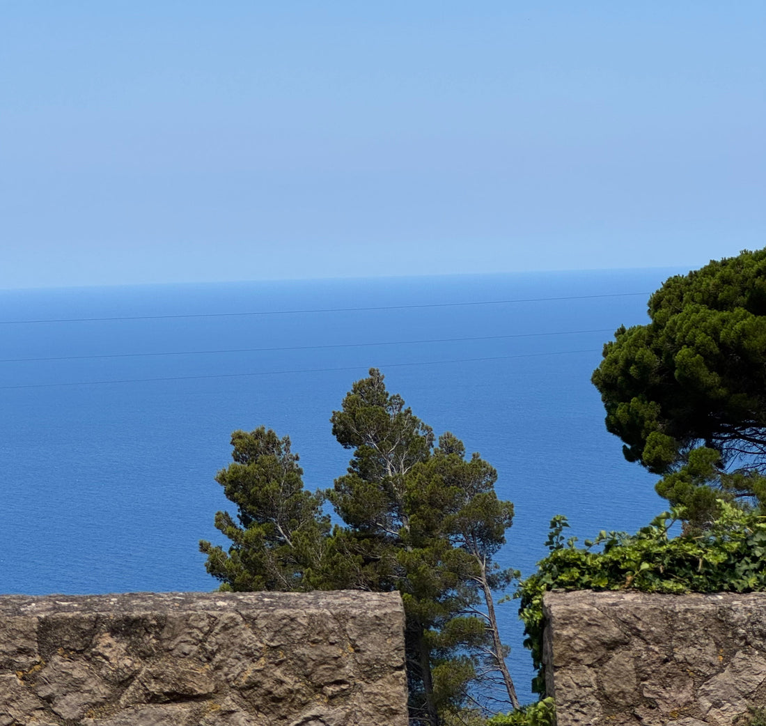 Playlist for La Vida Lenta