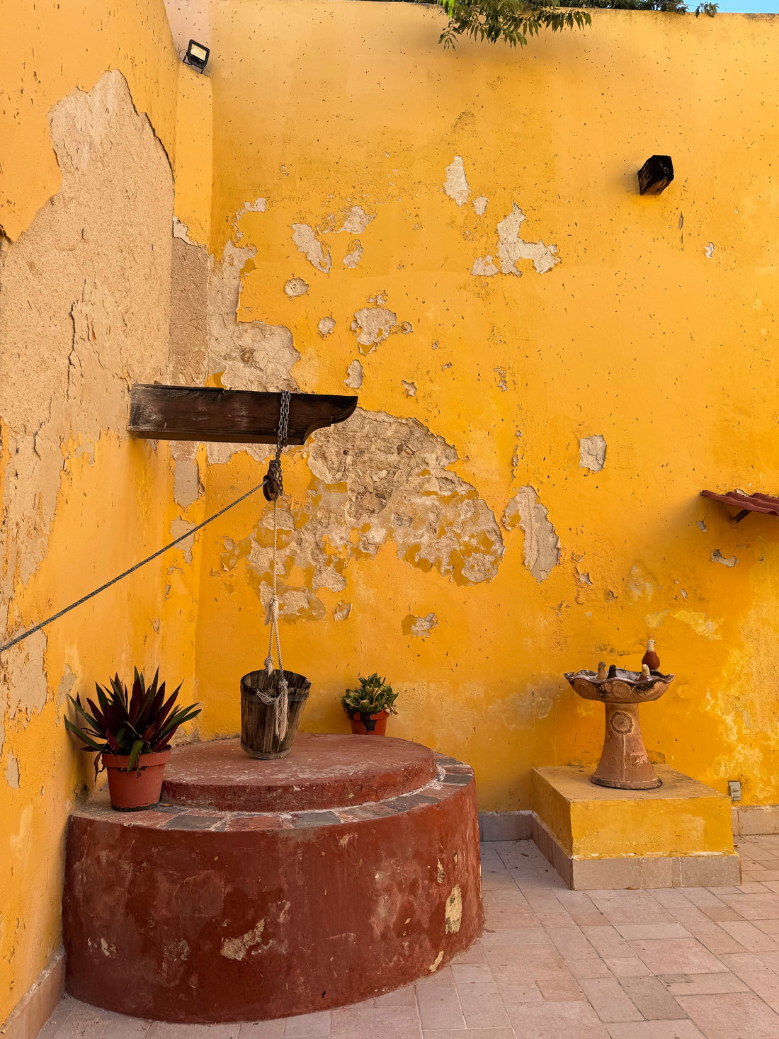 Alchemy in Campeche
