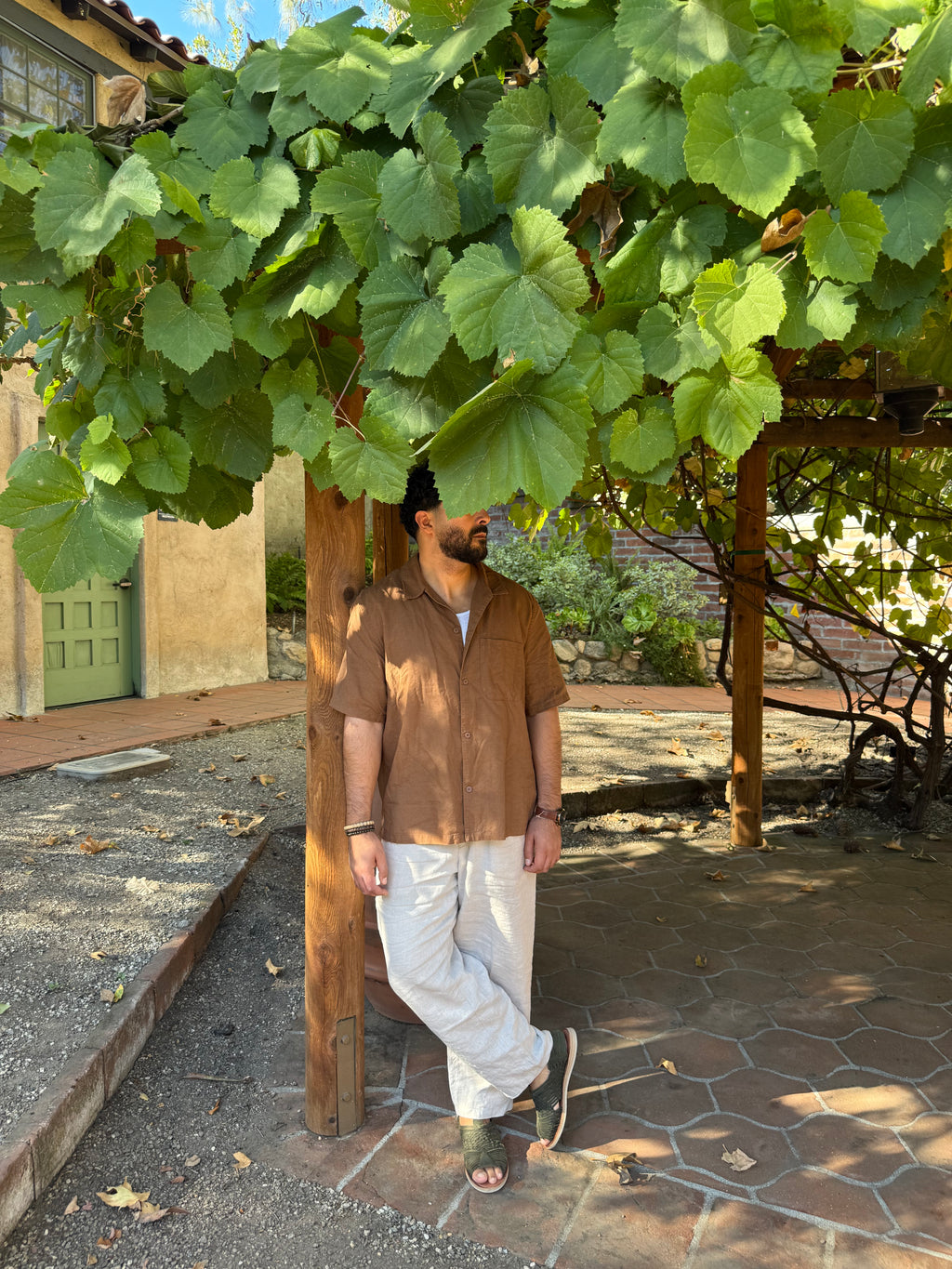 Olivo