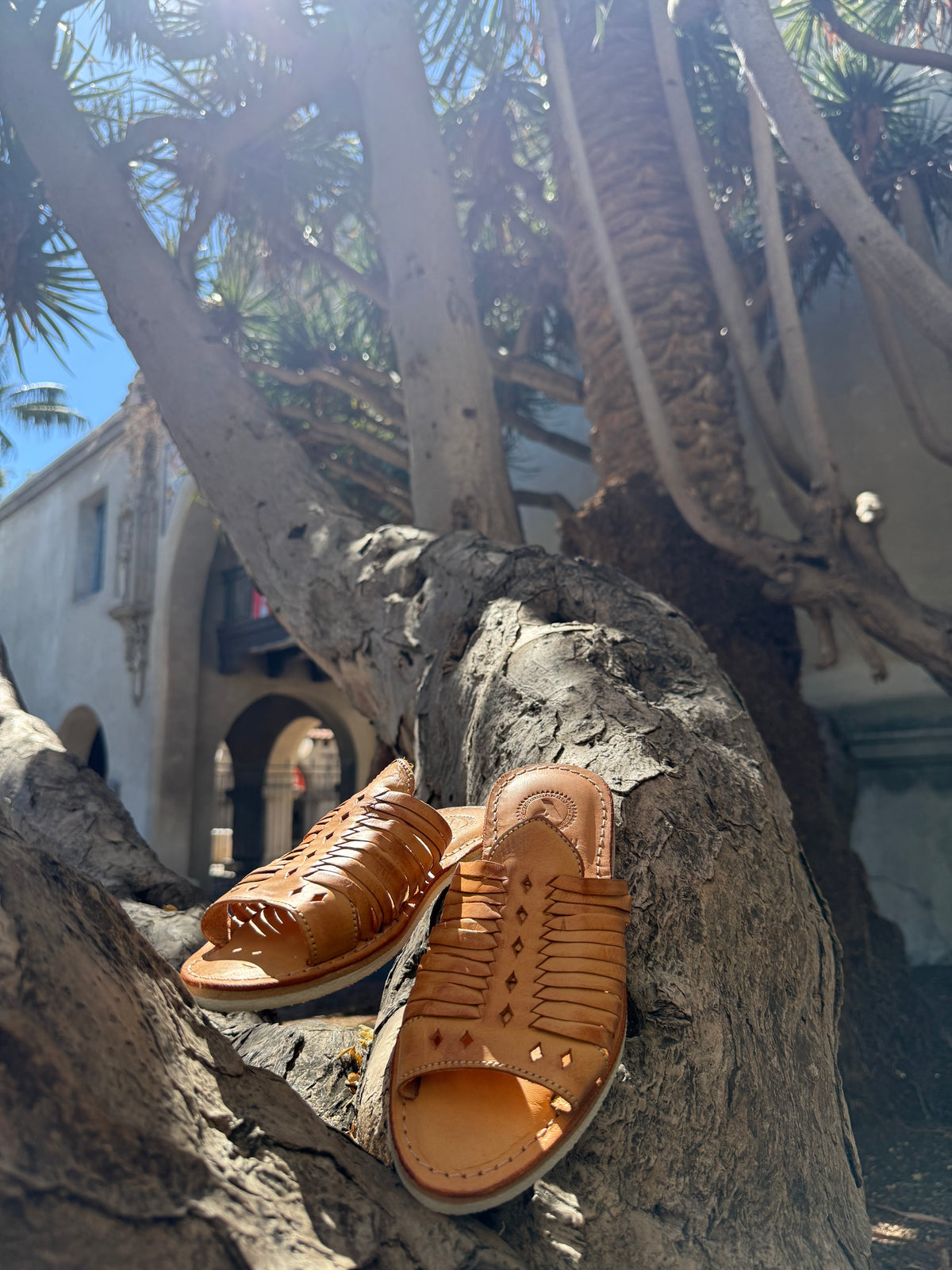 A pair of tan leather slide huaraches with woven cutout detailing, displayed on a large tree trunk outdoors with palm trees and a building in the background.